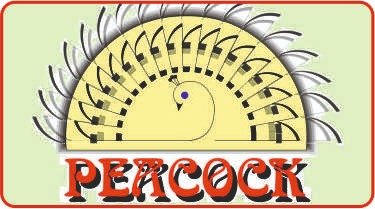 Rajasthan Surgico Private Limited